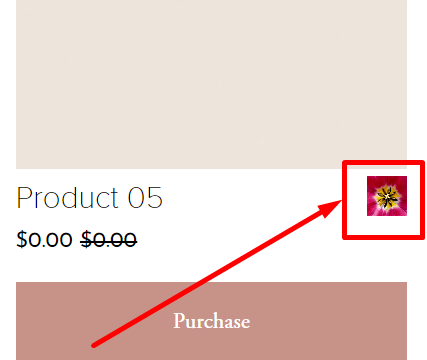 Change Sale Text To Custom Icon 05 Min