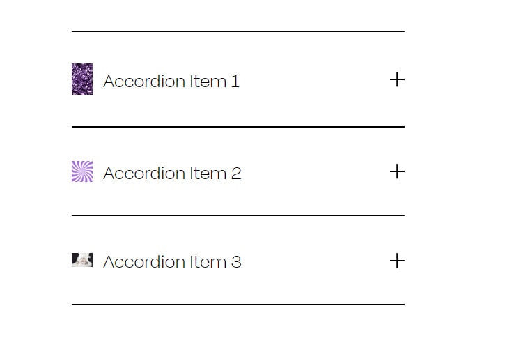 Add An Icon To Accordion Title Use Img Tag 04 Min